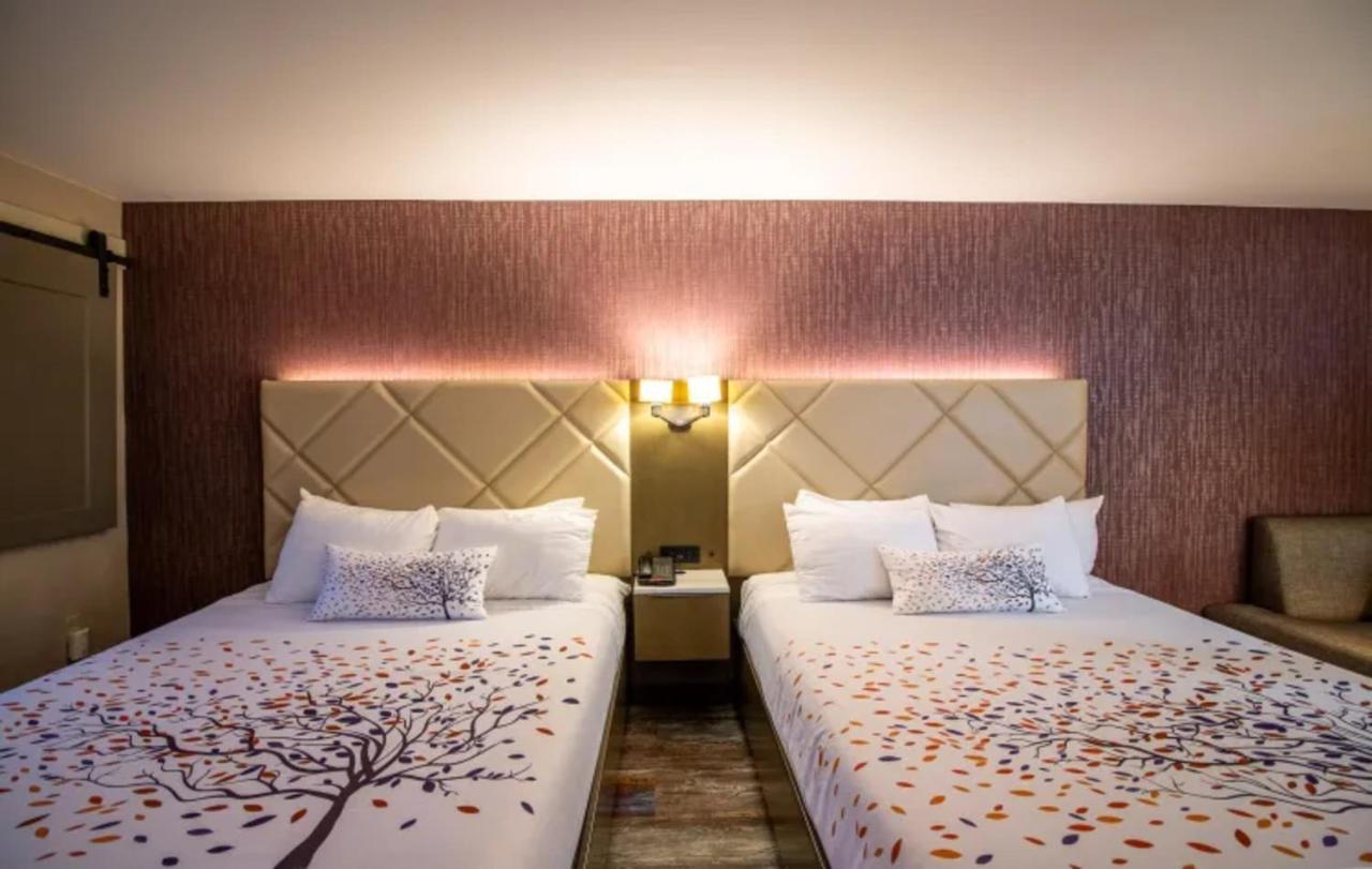 Empeiria High Sierra Hotel 马姆莫斯湖 外观 照片